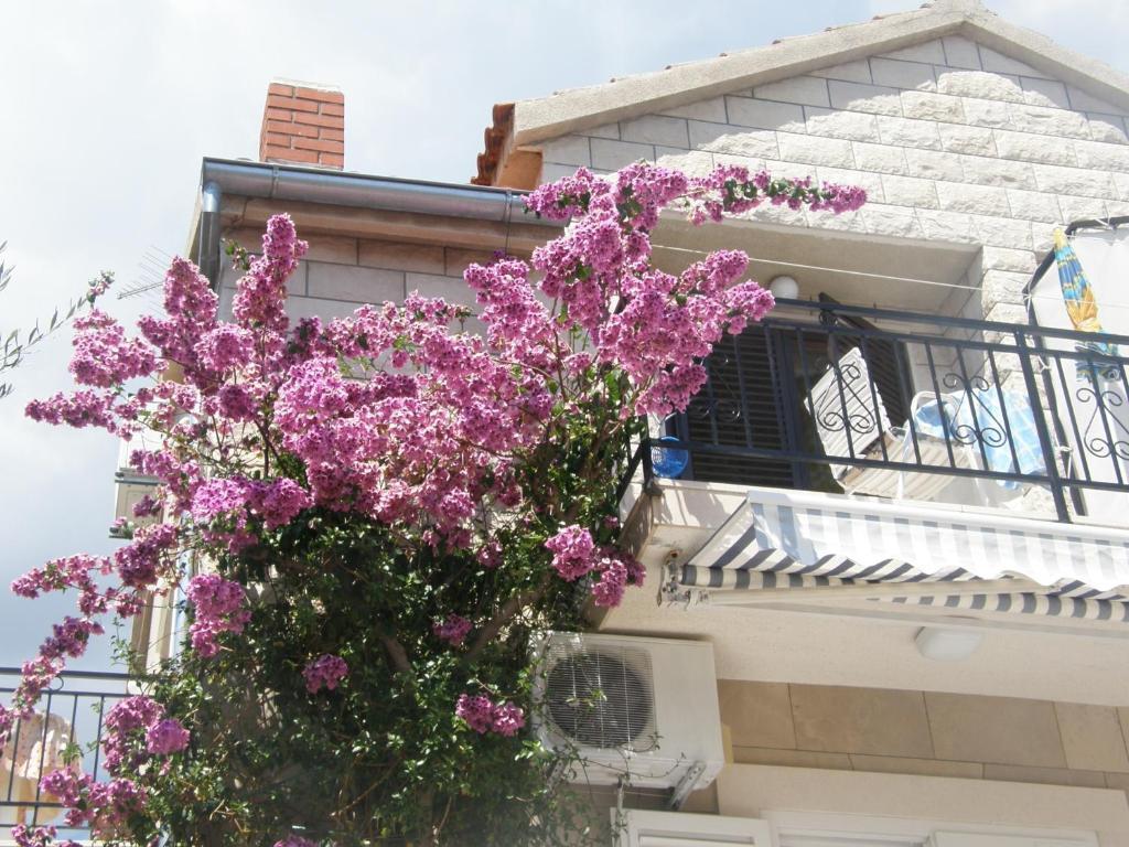 Apartments Mila Bol Oda fotoğraf
